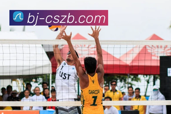 彩神争霸服务体系